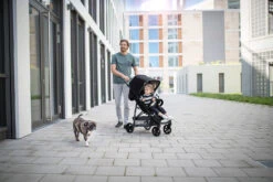 HAUCK Buggy Rapid 4, Caviar/silver 15 HAUCK Buggy Rapid 4, Caviar/silver -Babyartikelgeschäft hauck buggy rapid 4 caviar silver 3