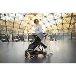 Thule Kinderwagen Shine In Grau -Babyartikelgeschäft thule kinderwagen shine in grau 9