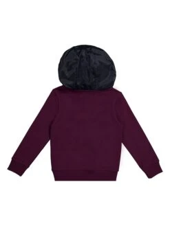 Vingino Hoodie "Nando" In Lila 5 Vingino Hoodie "Nando" In Lila -Babyartikelgeschäft vingino hoodie nando in lila 1